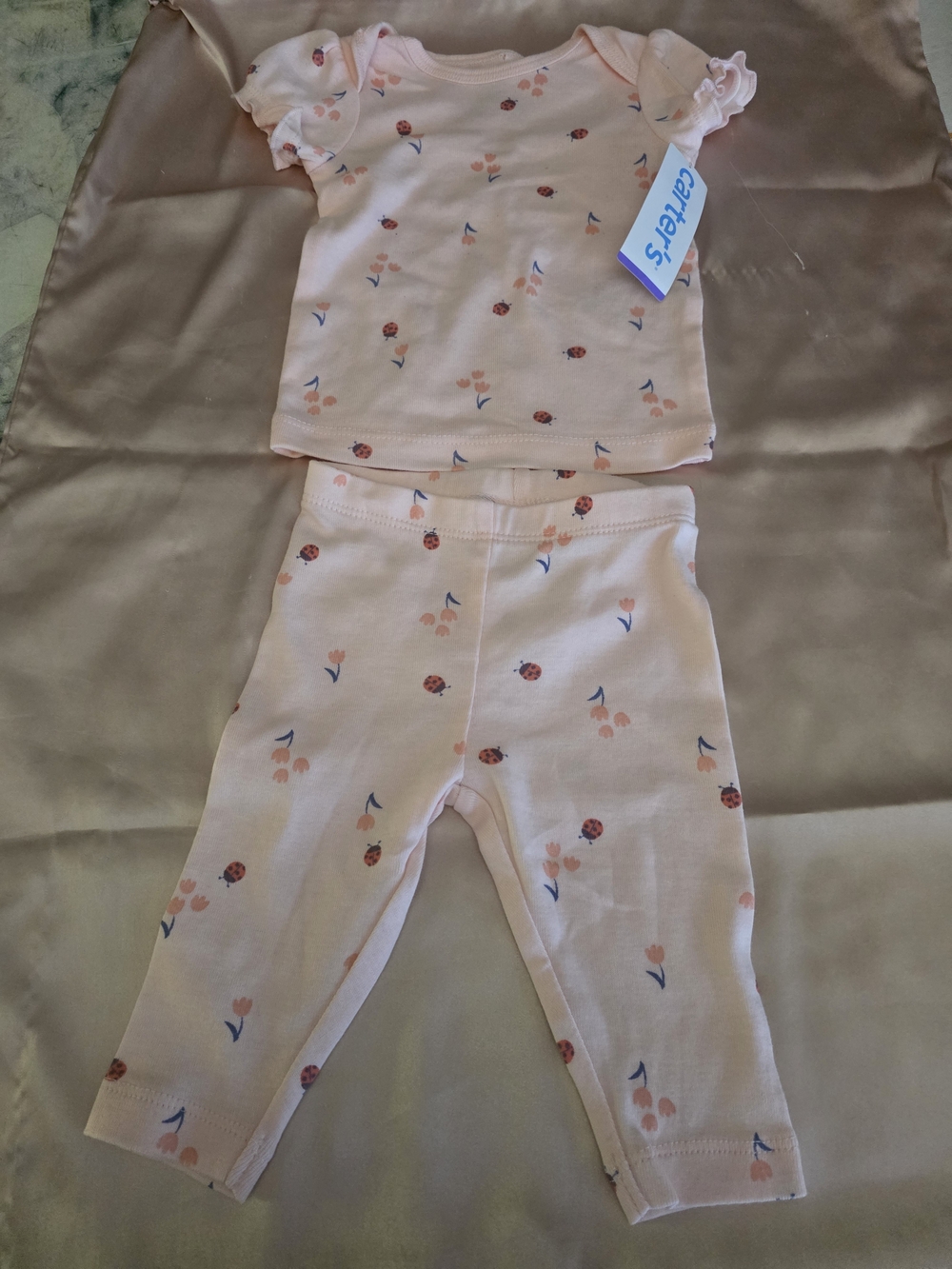 Carter's Light Pink Floral & Ladybug Toddler Pajama Set